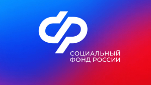 Услуги социального фонда в 2024 году