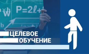 ОБ ОРГАНИЗАЦИИ ЦЕЛЕВОГО ОБУЧЕНИЯ ДЛЯ АБИТУРИЕНТА, ПОСТУПАЮЩЕГО НА ОБУЧЕНИЕ ПО ОБРАЗОВАТЕЛЬНЫМ ПРОГРАММАМ ВЫСШЕГО ОБРАЗОВАНИЯ В РАМКАХ ПРИЕМНОЙ КАМПАНИИ 2024/25 УЧЕБНОГО ГОДА