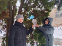 Покормите птиц