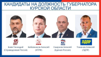 Завершена регистрация кандидатов на выборах Губернатора Курской области