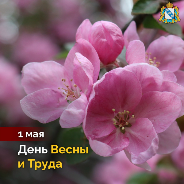 Поздравляем с Днём Весны и Труда!